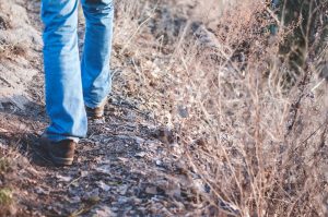 Empty Nest Syndrome and Menopause at the Same Time? Fear Not! ®Juveriente's Blog