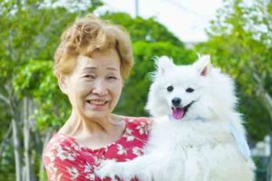 A healthy Japanese old woman with his white dog