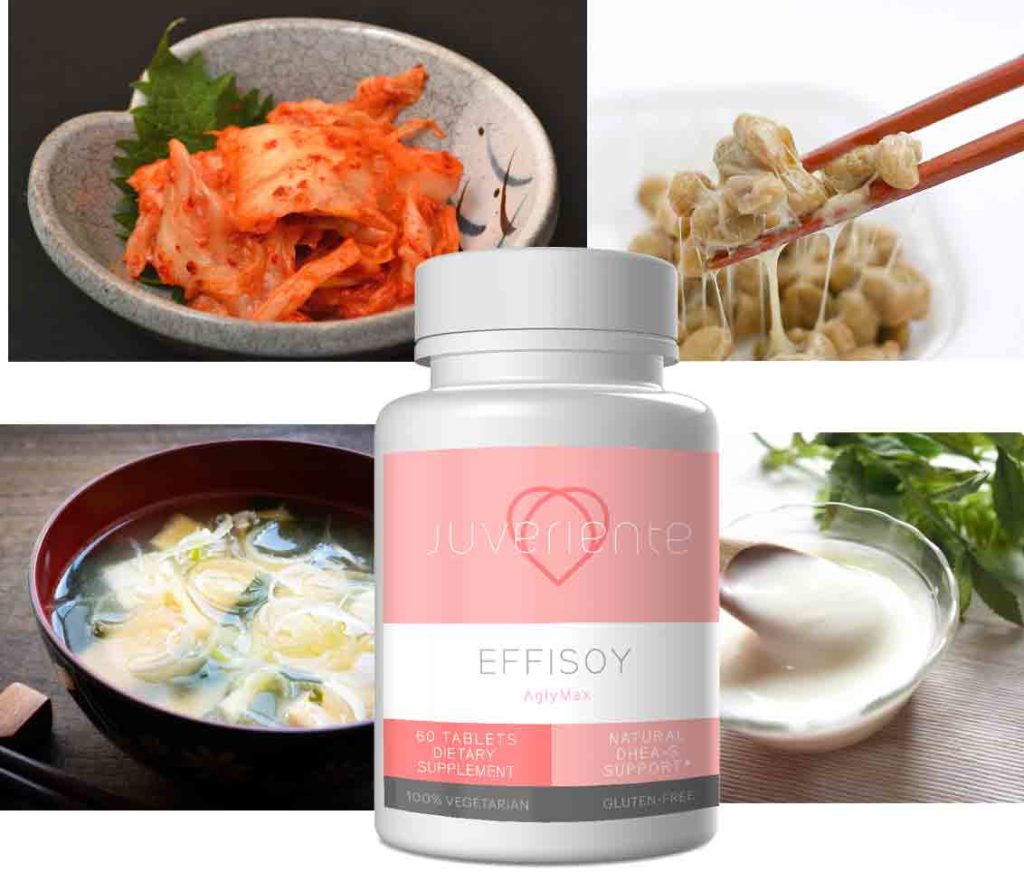 Fermented Supplement Effisoy