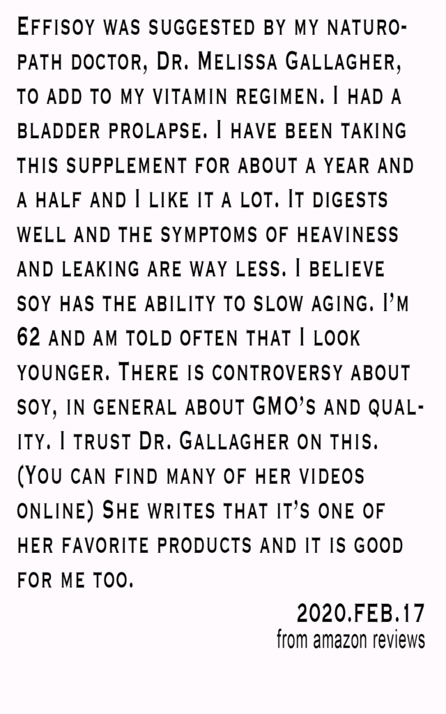Effisoy Review