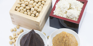 Take best fermented foods
