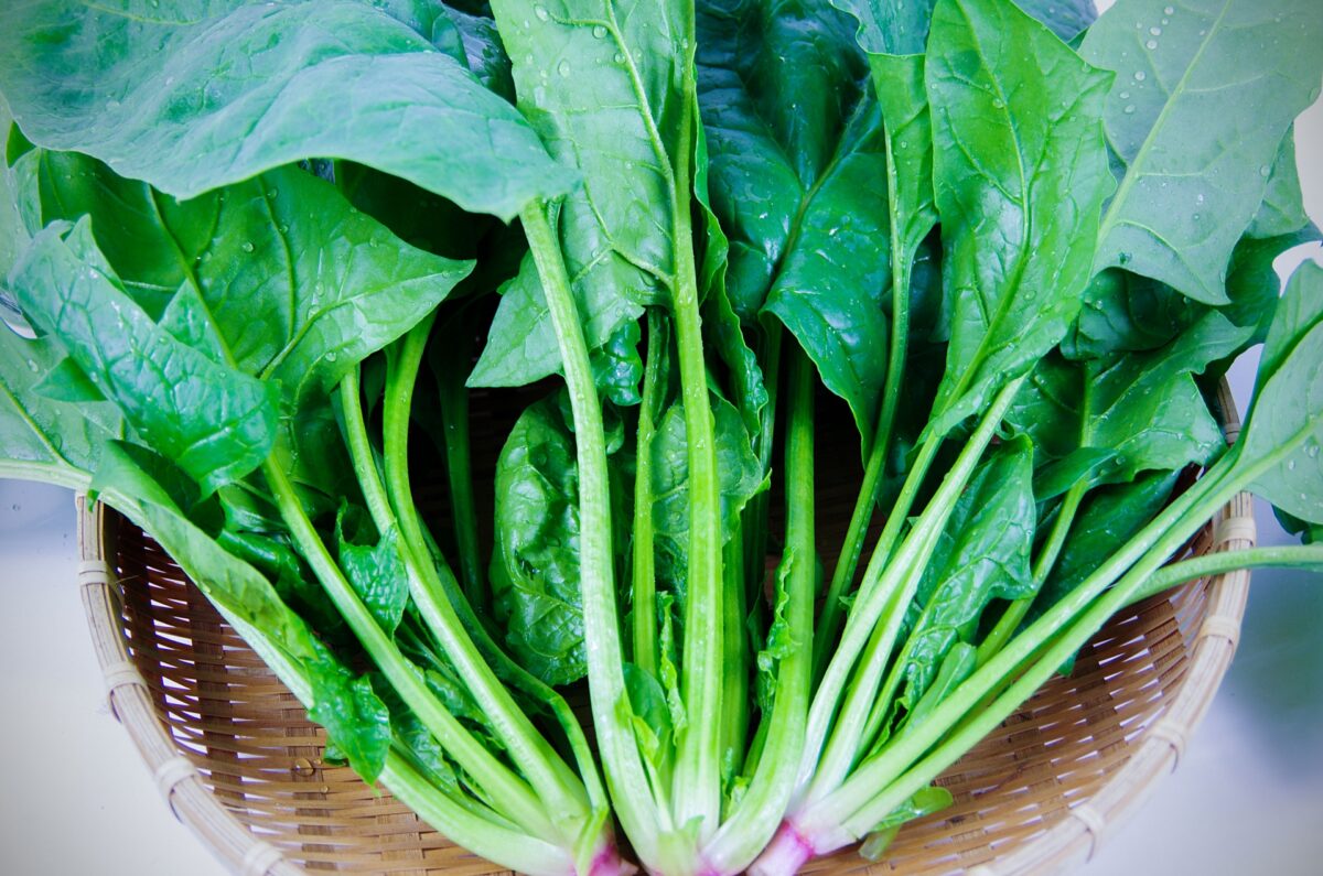 Spinach contains rich vitamin K.