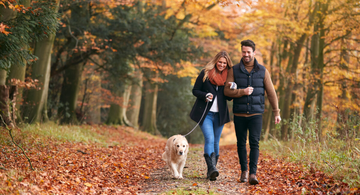 Prepare Your Body for the Fall Season Your Healthcare Guide in Autumn