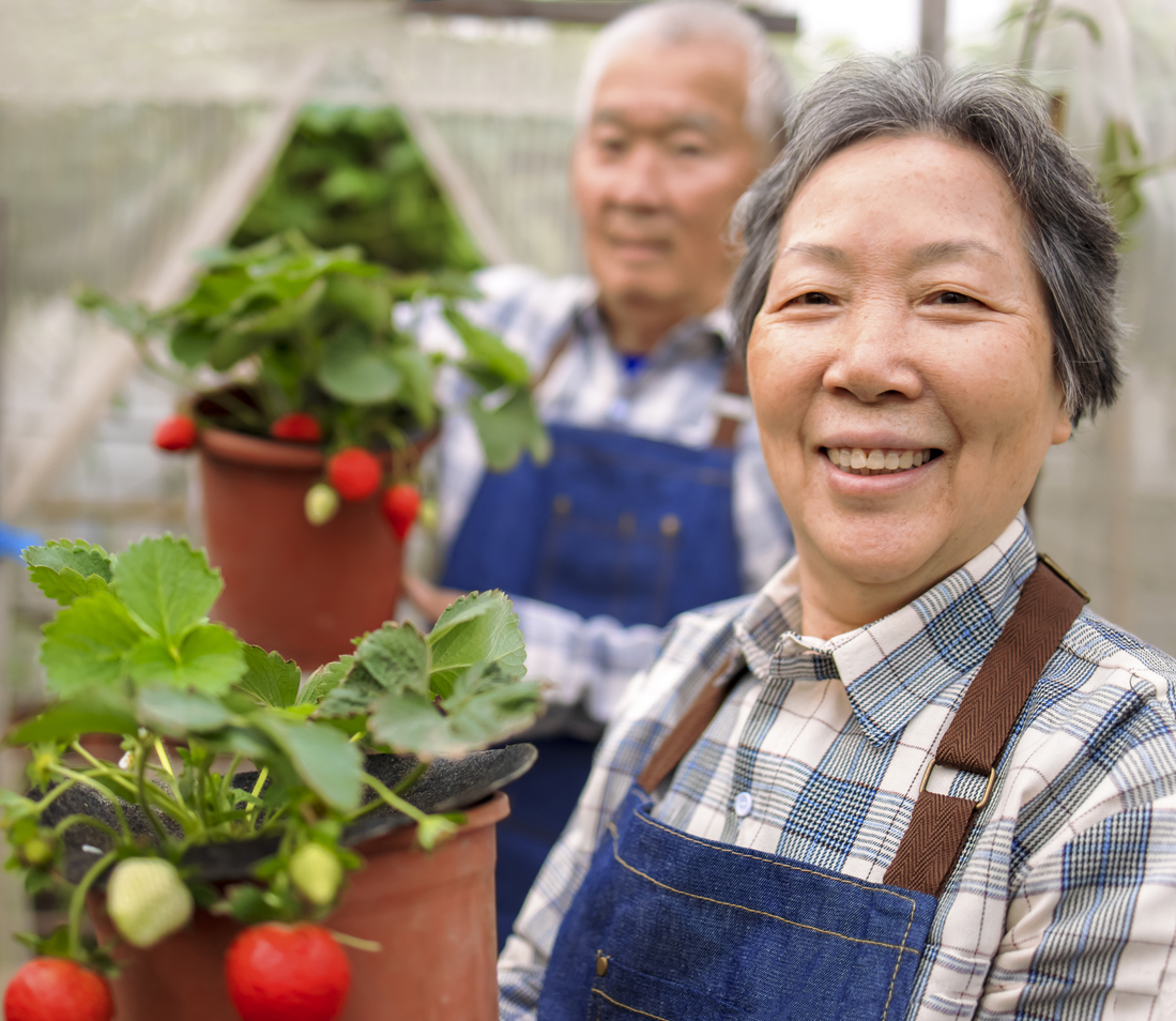 Japanese anti aging