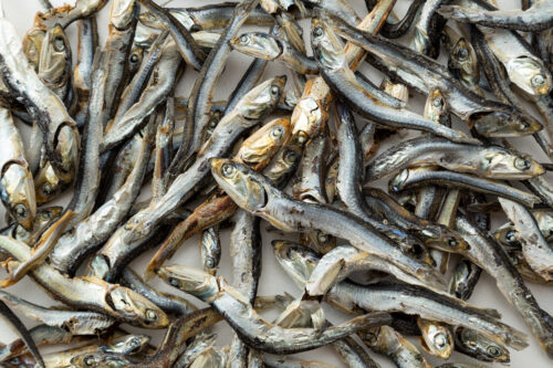 small fish for bone health