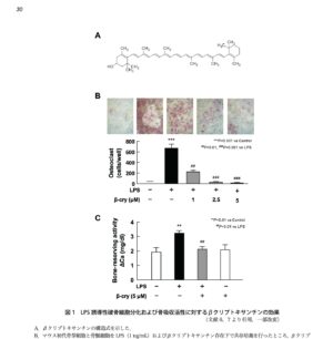 Beta Cryptoxanthin Clinical Study